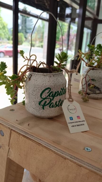 Macetero colgante con suculenta