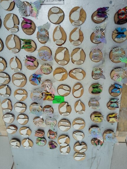 imanes rodajas variados