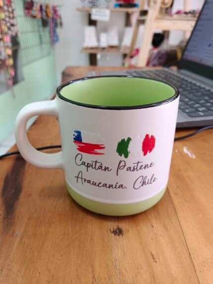 tazón color pastel dos colores 
rosado gris verde blanco